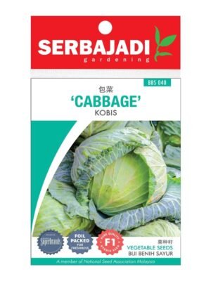 WhatsApp Image 2025-06-06 at 9.33.05 AM (2) Serbajadi F1 Hybrid Cabbage Seeds – BBS040 (1 Pack)