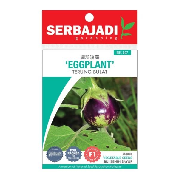 Serbajadi Vegetable Seeds Round Eggplant (BBS) 1pack
